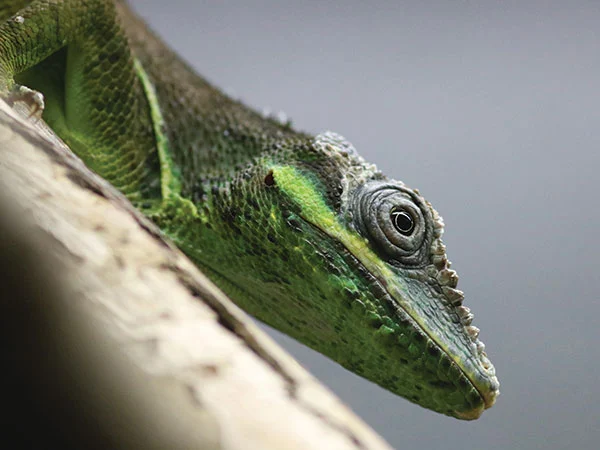 6e853d3bbd19057079ecc5ae7c1f6e88.webp 0f0b8723c9b81d6b758e9b00362d0d4e