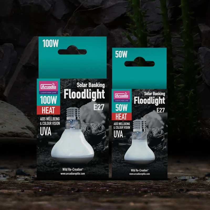 6e8650aa99184f4fdac9de0c24483f47.webp fe89bf37570b4d7d265f65bdfb6df585