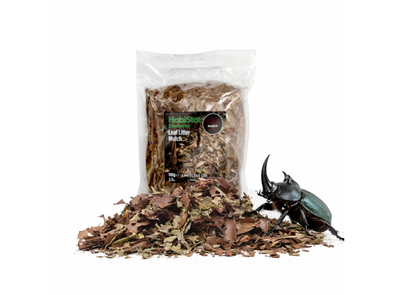 6ef16fc497d7a0a8e2023c12efa835ec.jpg 2cbfc9c6df9f54ff54032f5428edcd0e