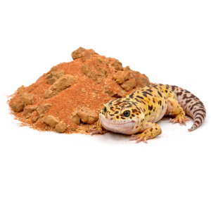 6f902136ff62b71777789b5c02c51c03.png 23092d0664bdd89311eca48be9ac1203