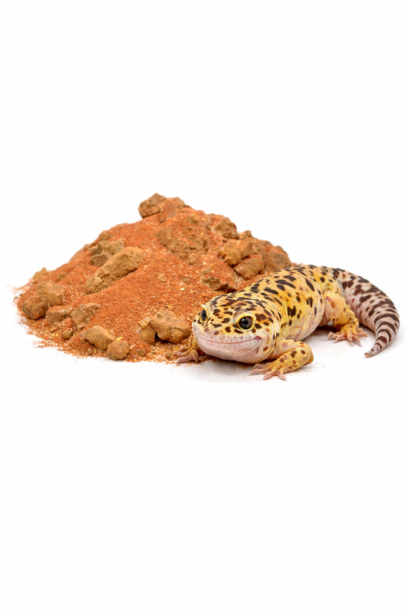 6f902136ff62b71777789b5c02c51c03.png 23092d0664bdd89311eca48be9ac1203