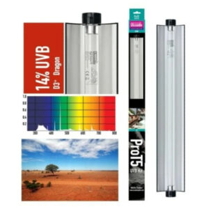 71c3f38b88cc498a7650bcf384897eed.jpg 2513f96a4df7efb5d01188b244c2b53c