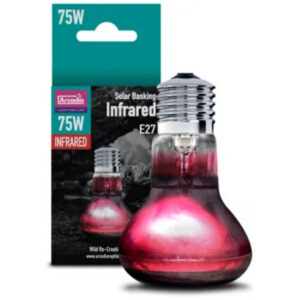 6c93d0d6199b42bffabb778989d0a830