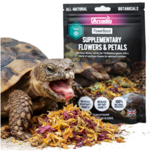 7dae7948f85929c02aaa1255d05c7103.jpg 2fca20427be241356678f774399d750d