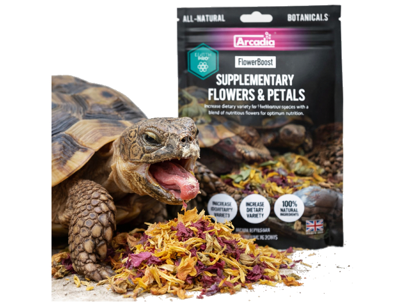 7dae7948f85929c02aaa1255d05c7103.jpg 2fca20427be241356678f774399d750d