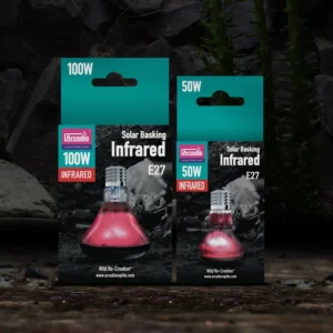 43256d2ef5f4ff03bad43db3651beb87