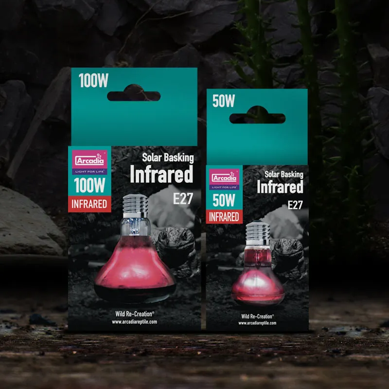 43256d2ef5f4ff03bad43db3651beb87