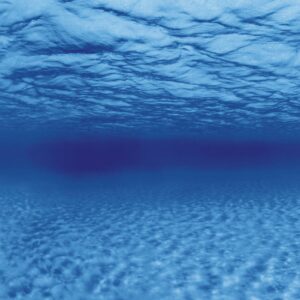 100x50cm tło akwariowe do terrarium cięte na wymiar korzenie/woda