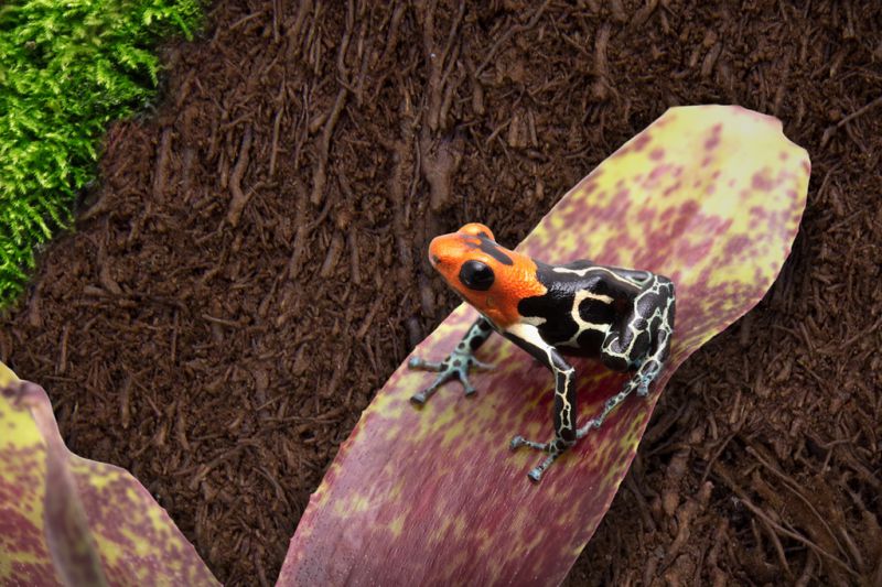 d5dff787f7f12a3cd9bc098f7c413dd3