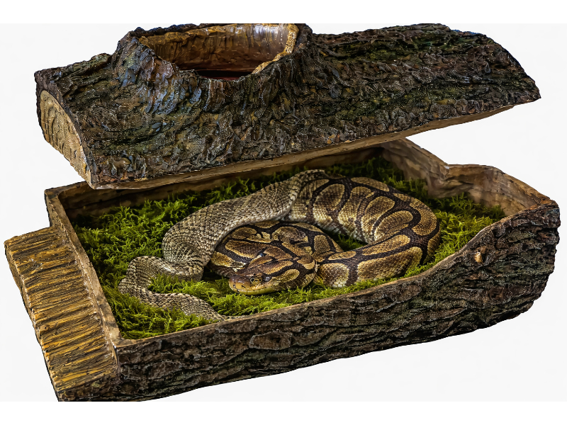 8f90604309c3b80ae7b335ffa950614e.jpg a193d6f551b881e27ea3d532da7ce0ef