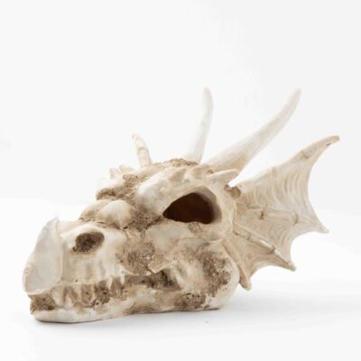 Dekoracja ozdoba terrarium czaszka smok Happet