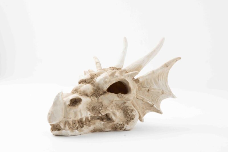 Dekoracja ozdoba terrarium czaszka smok Happet