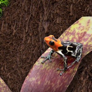 d5dff787f7f12a3cd9bc098f7c413dd3