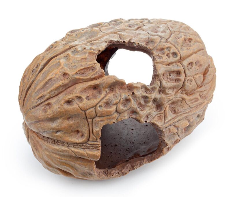 Dekoracja Ozdoba akwariowa orzech Happet 20 cm