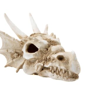 Dekoracja ozdoba terrarium czaszka smok Happet