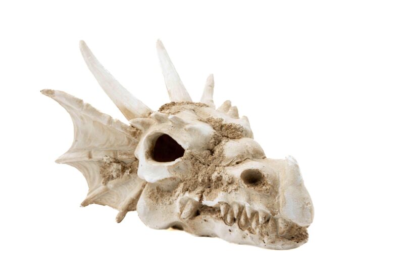 Dekoracja ozdoba terrarium czaszka smok Happet