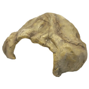 5b0584c8a5a82feefb4b898e93a011d4