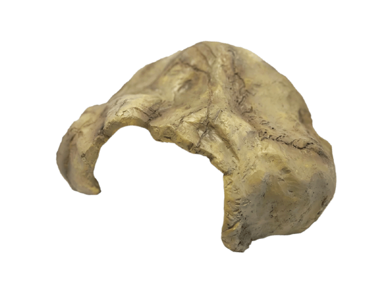 5b0584c8a5a82feefb4b898e93a011d4