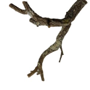 8b8667b819018b60c76e384e2c48582e