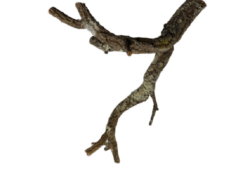 8b8667b819018b60c76e384e2c48582e