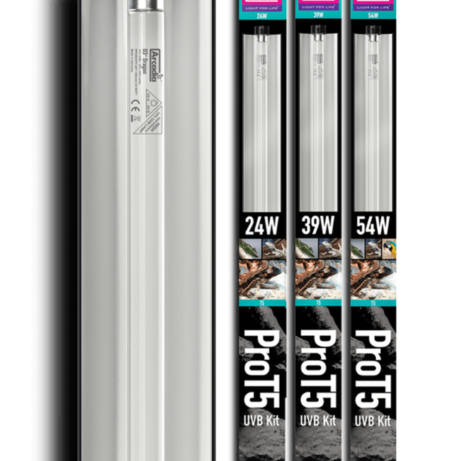 a16737c5db8be260c47104fbb96734ad.webp 56f8a67e7db11079801e11e79b8db73e