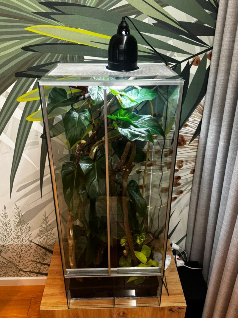 Terrarium dla kameleona z wentylacją szyba przesuwna 50x50x100