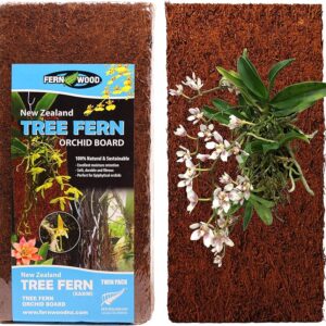 911d681bbcc90a47b8039289400fee6a