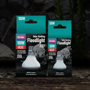 fe89bf37570b4d7d265f65bdfb6df585