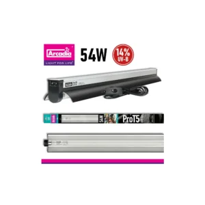 zestaw arcadia dragon kit 14% 54w