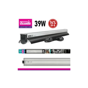 zestaw dragon 14% 39w