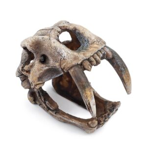 Dekoracja Ozdoby akwariowe - czaszka z kłami Happet