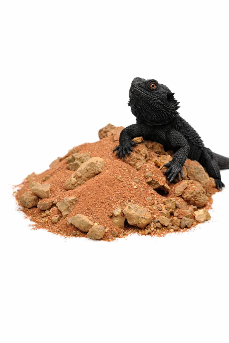 c981d1d01ace4c4523ee7d97441f8932.png 9de7668999fcc91e624d29efe4c7c71b