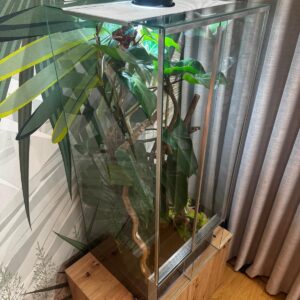 Terrarium dla kameleona z wentylacją szyba przesuwna 50x50x100