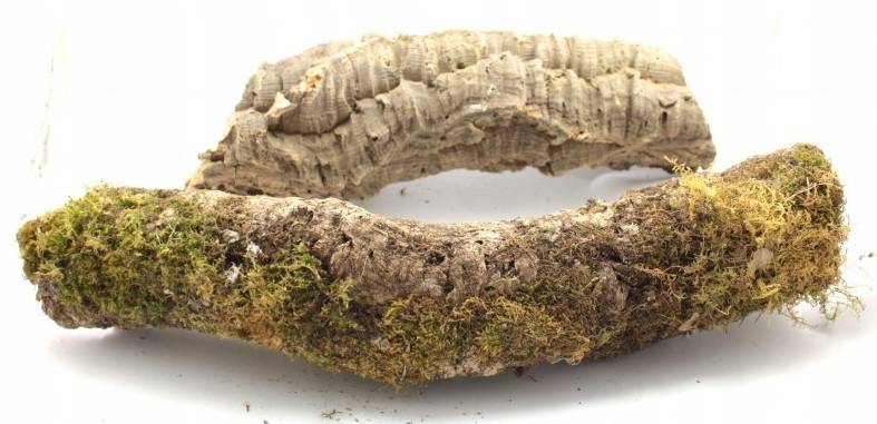 feb589a984daf1cafa15c46c27fa2614