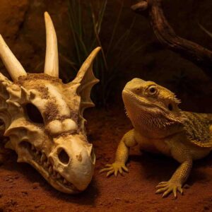 Dekoracja ozdoba terrarium czaszka smok Happet