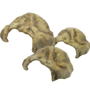 7faf961d293bdb2660e1027f46b5f3c9