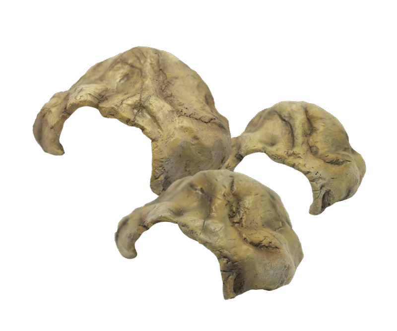 7faf961d293bdb2660e1027f46b5f3c9