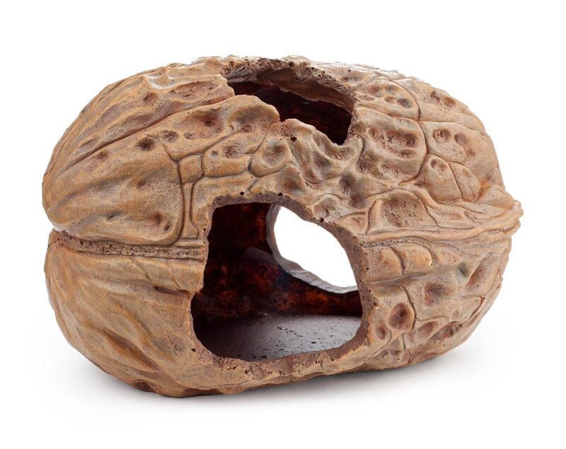 Dekoracja Ozdoba akwariowa orzech Happet 20 cm