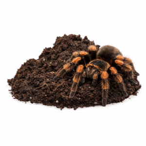 fc2d532de195e3200e41746e6473628c.png d47a395fc2697ca061cc7bd13df2e163