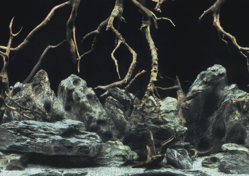 100x50cm tło akwariowe do terrarium cięte na wymiar korzenie/woda