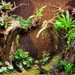 004f3c208997776c27ece10d3a89bba7