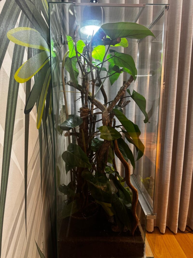 Terrarium dla kameleona z wentylacją szyba przesuwna 50x50x100