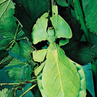 1a935fbd9448d9dc15e08db001affb46