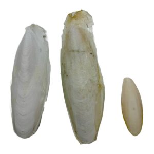 e5d41abf761554fc045f8b8f1d24c5cb