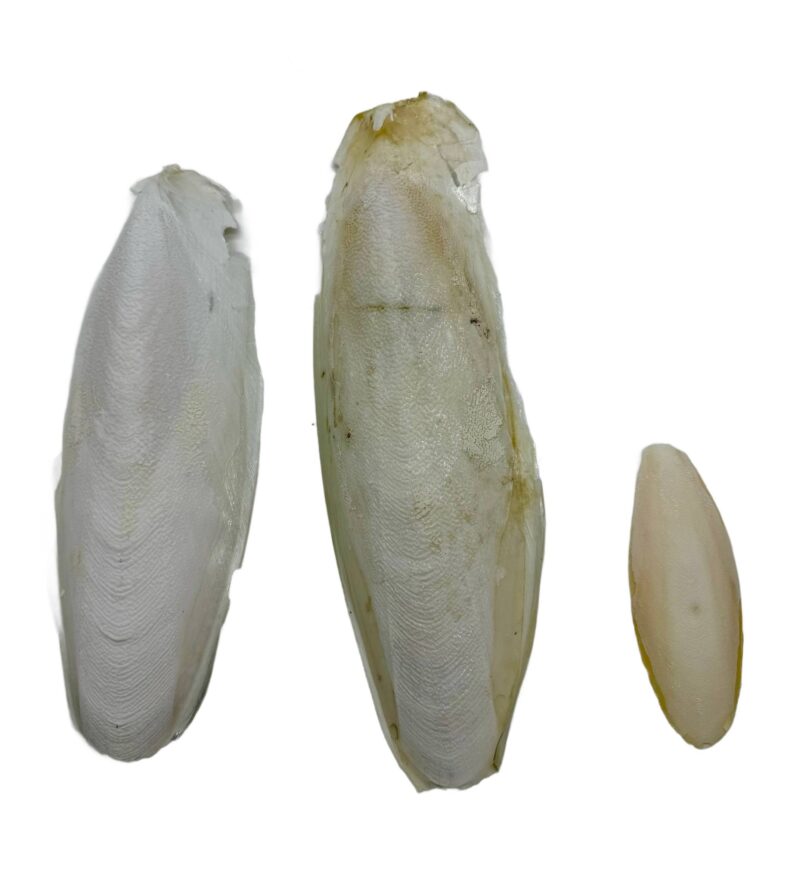 e5d41abf761554fc045f8b8f1d24c5cb