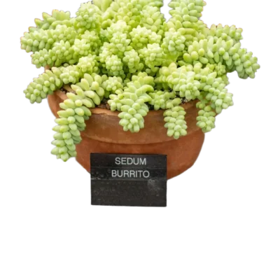 32e817675078a7561a0149da6a78b107