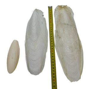 cf46a46bc5ac5140e627c7dee59abf6f