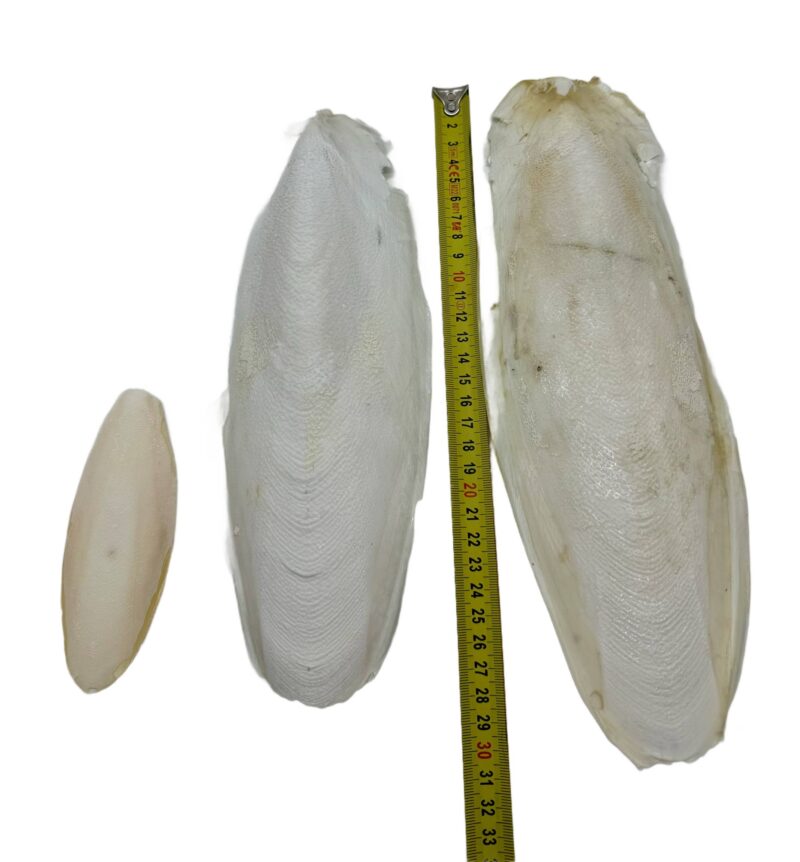 cf46a46bc5ac5140e627c7dee59abf6f