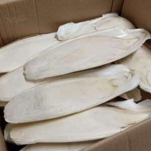 5c7cea0de79ea2224f5154b7099d5a8c