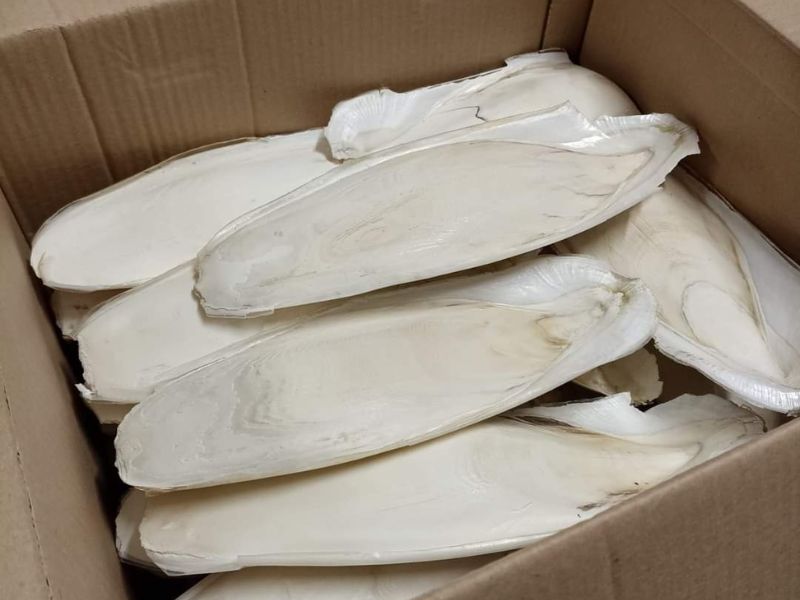 5c7cea0de79ea2224f5154b7099d5a8c